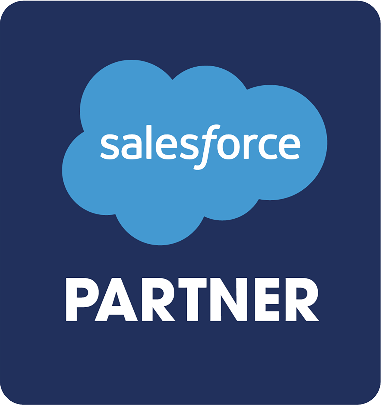 Salesforce Partner badge